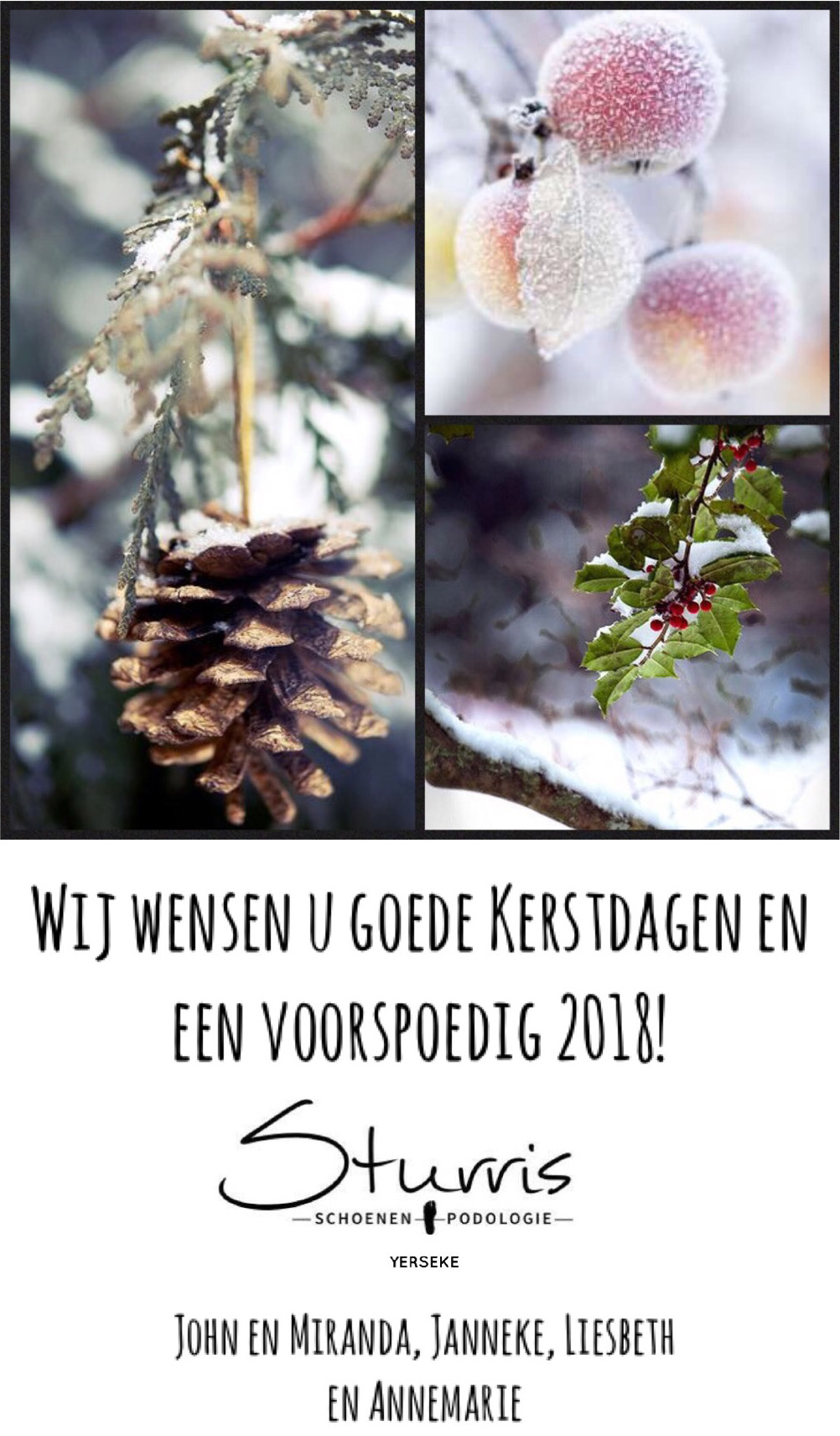 Wij wensen u goede Kerstdagen en een voorspoedig 2018